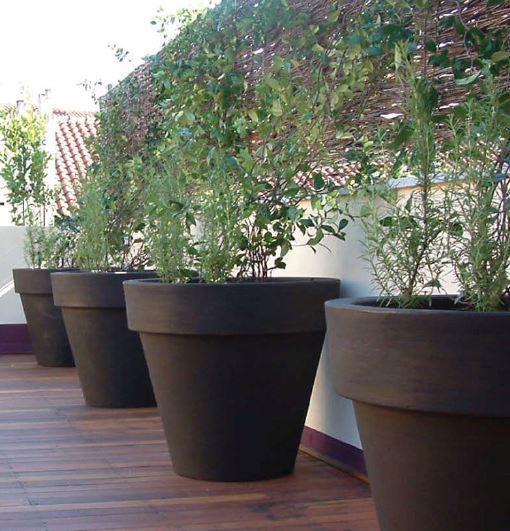 Vasi Tondi e Quadrati Grandi