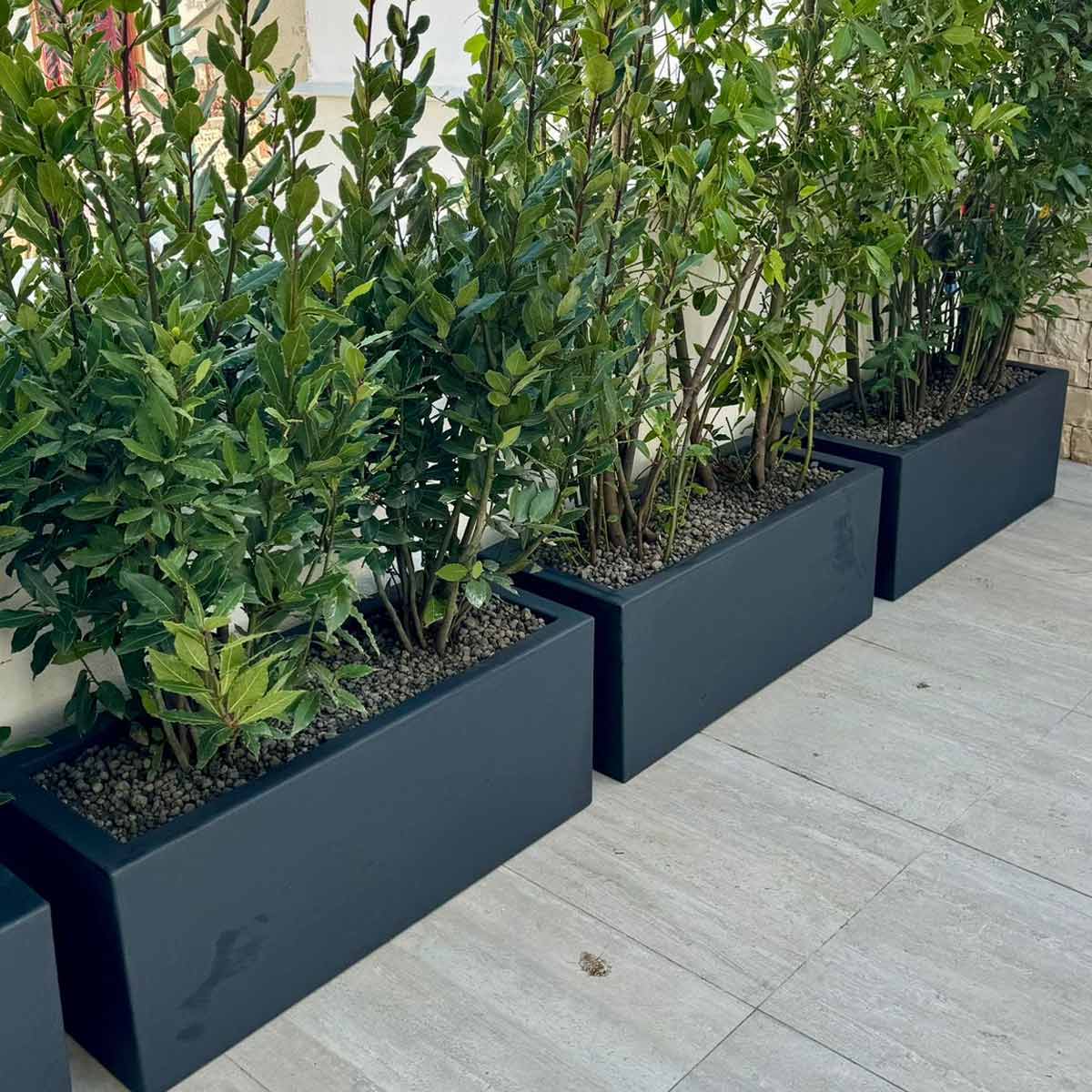 Vasi rettangolari da esterno
