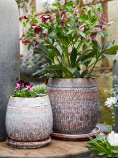 Vaso in ceramica smaltata + sottovaso - SOS - Ø18 H22 cm - BGREEN