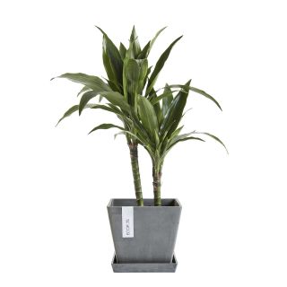Vaso quadrato ROTTERDAM 40X40 H36 - ECOPOTS