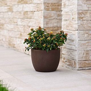 Vaso Tondo ARES Ø60 H43 - TERAPLAST
