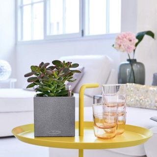 Vaso da tavolo CANTO STONE 14X14 - LECHUZA