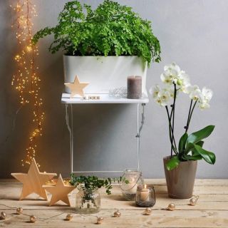 Vaso da tavolo DELTA 20 con auto irrigazione 40x15 H18 - LECHUZA