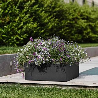 Vaso Fioriera in resina SCHIO CUBO BASSO 50x50 H20 - TERAPLAST