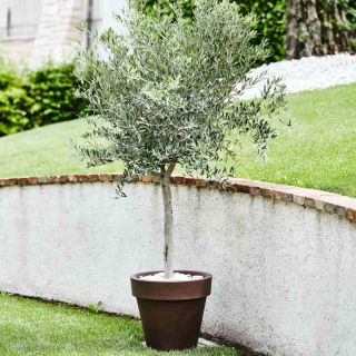 Vaso fioriera in resina STANDARD ONE Ø40 - TERAPLAST