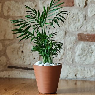 Vaso da tavolo HOOP Ø25 H23,5 con riserva d'acqua -30% - CLAY - TERAPLAST