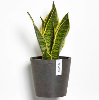 Vaso da tavolo AMSTERDAM Ø17 H14,9 - ECOPOTS