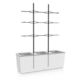 TRIO GRATICCIO 40 - LECHUZA