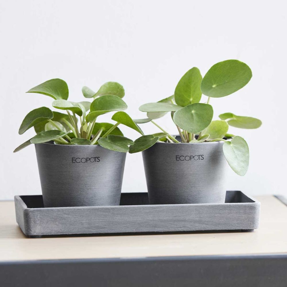 Coppia Vasi AMSTERDAM MINI Ø10,5 con Sottovaso - ECOPOTS