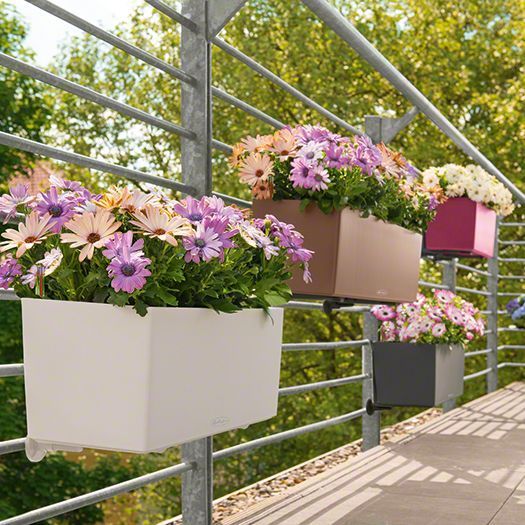 Fioriera Da Balcone Victoria Con Serra - 50L Con Serbatoio Acqua - Foto 6