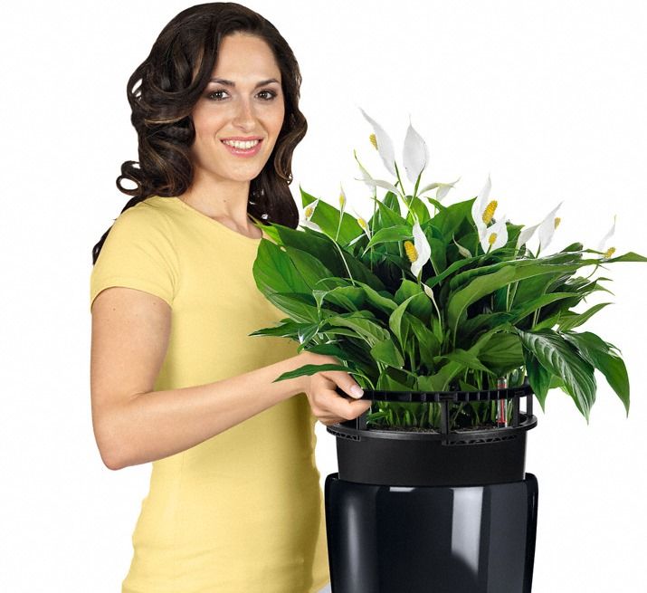 Fioriera Con Sistema Di Irrigazione Automatico MELFOM | Vaso Rotondo In Plastica Resistente Con Inserti Rimovibili, Colore Crema, Taglia XL