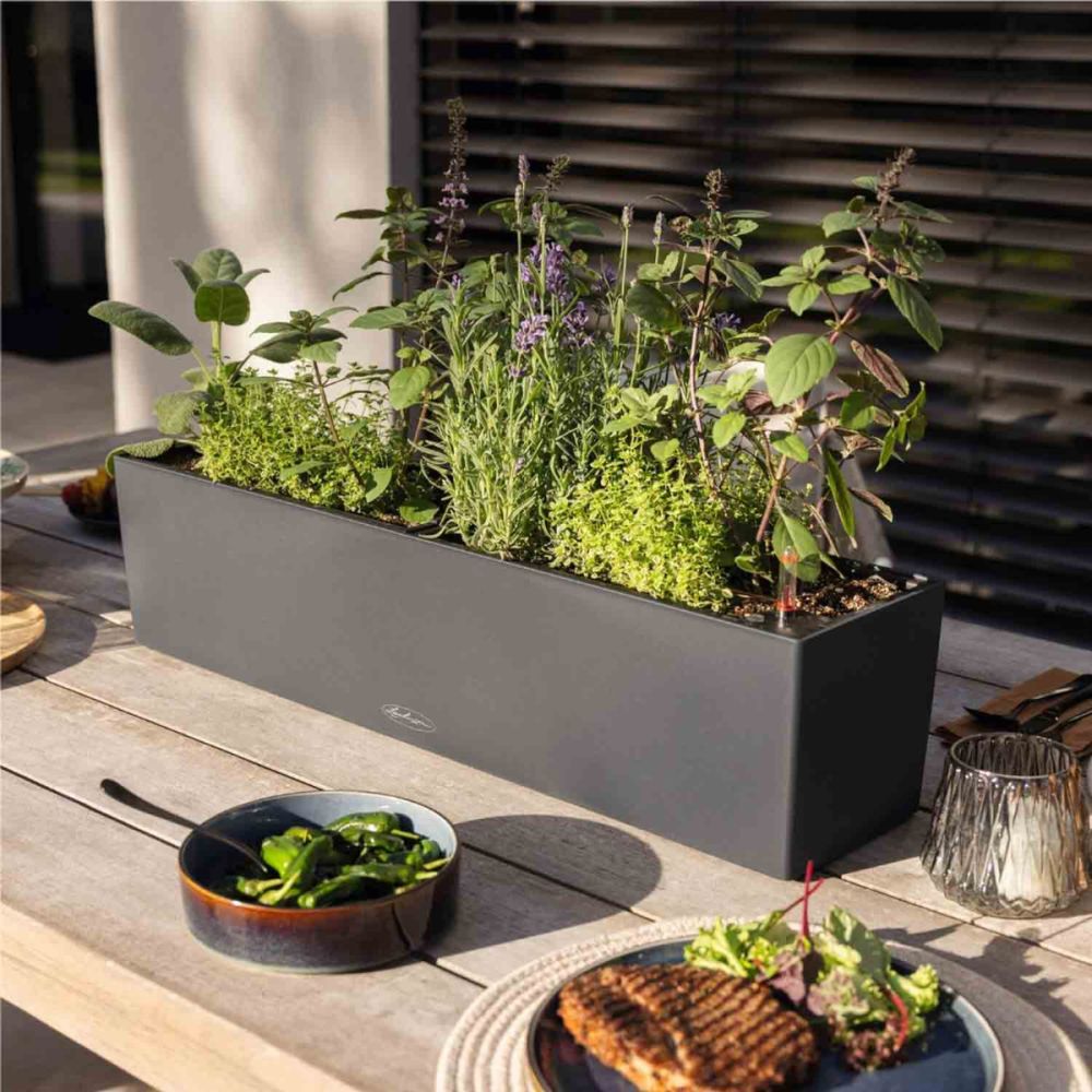 Fioriera Da Balcone XL Botle Begonia Con Supporto In Metallo - 56x19x19 Cm, Plastica Resistente, Colore Crema, Per Ringhiera 35-55 Mm