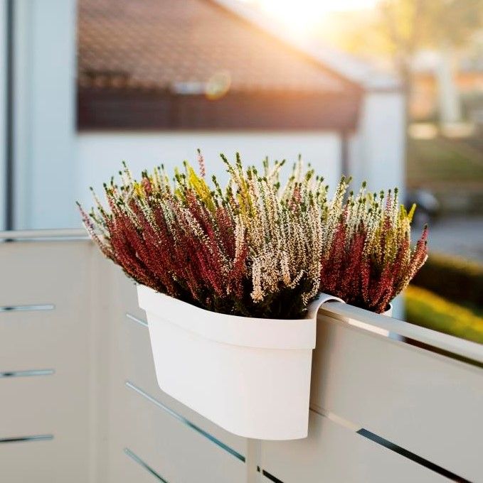 Fioriera Rettangolare En.casa Per Balcone In Acciaio 50x12x15 Cm - Colore Antracite, Con Gancio Per Parapetto