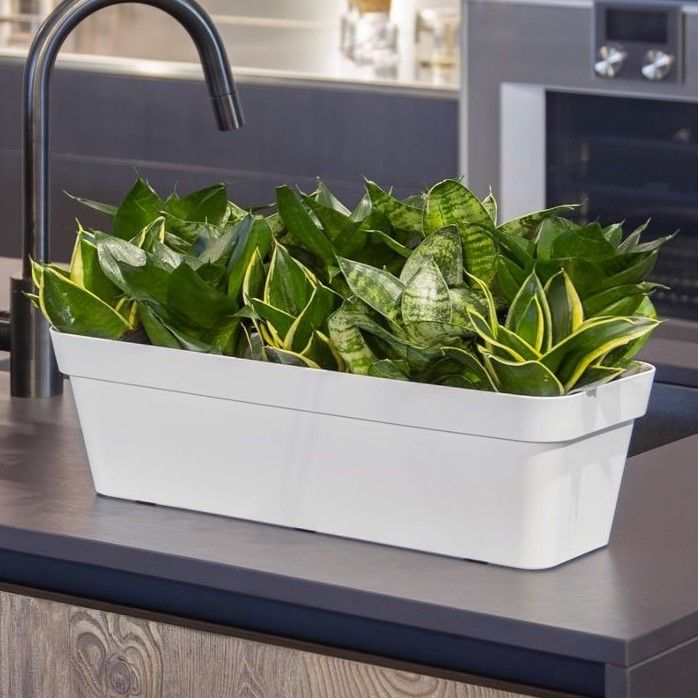 Mepla Fioriera XXL Con Sistema D'Irrigazione E Sottovaso: 98 Cm, Antracite, Capacità Terriccio 22L