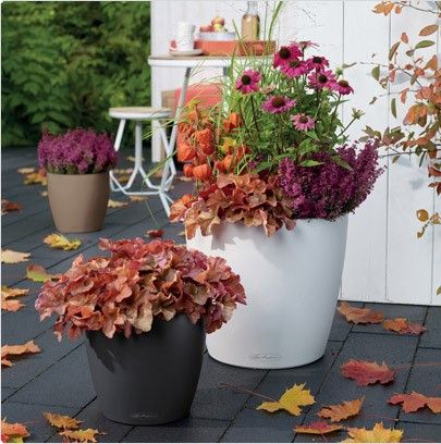 Lechuza Classico Color 43 Vaso Autoirrigante H40 – Grigio Ardesia – Per Interni/Esterni