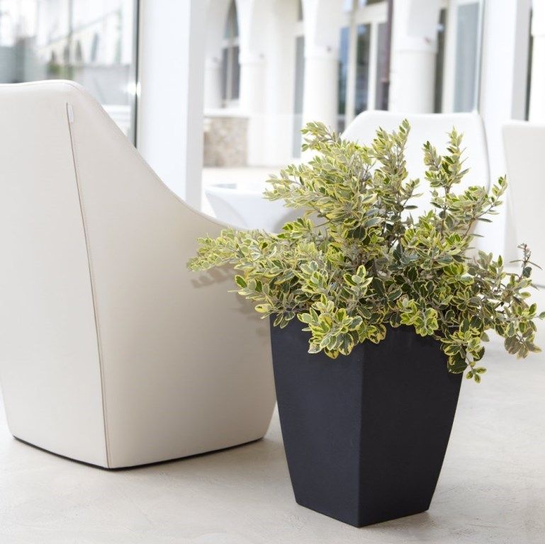 Whitefurze Vaso Quadrato Veneziana In Plastica - 30 Cm, Colore Nero, Per Piante Da Interno Ed Esterno, 2 Pezzi