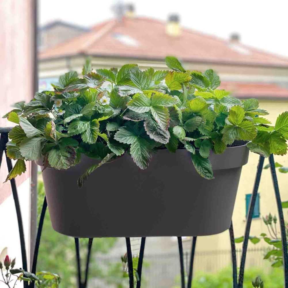 Set fioriera da balcone bama iris terracotta 50 cm