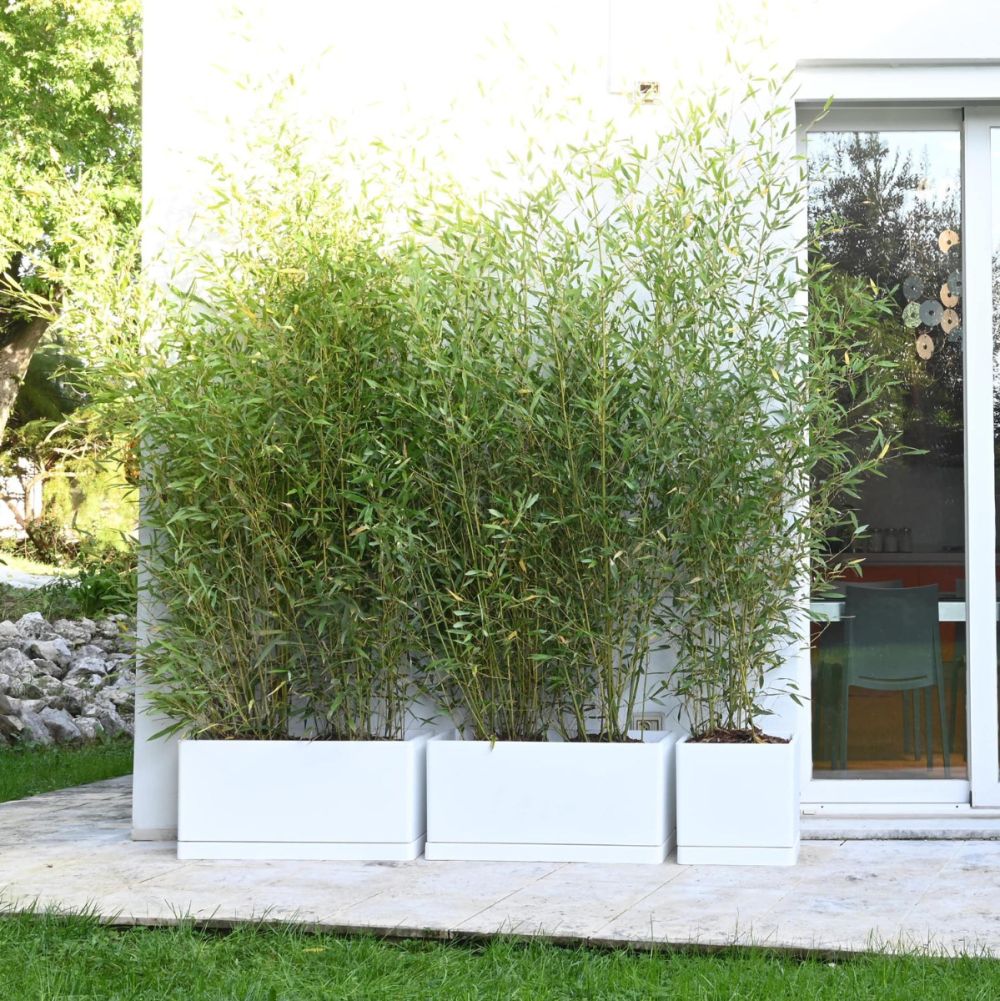 Vaso Per Fiori Standard Con Sottovaso - Plastica PP, Fori Di Drenaggio, Colori: Terracotta, Marrone, Bianco - 2