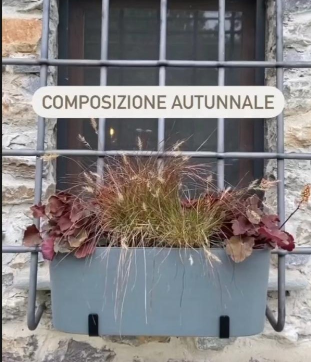 Composizione autunnale