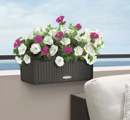 Quali fiori scegliere in estate per il tuo balcone?