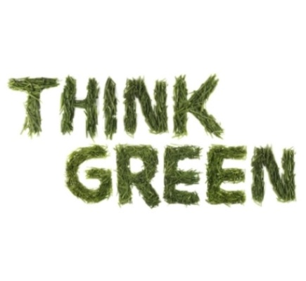 Think Green: scegli un vaso ecologico