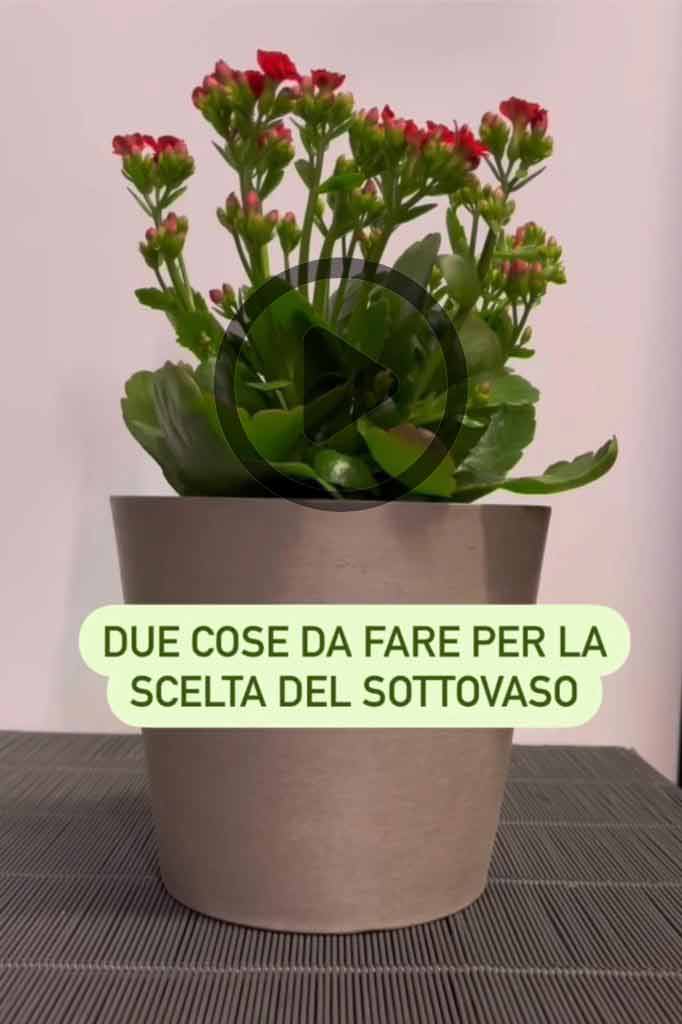 Sottovasi: guida alla scelta giusta!