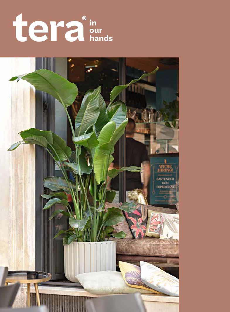 Catalogo Collezione Vasi Teraplast 2024