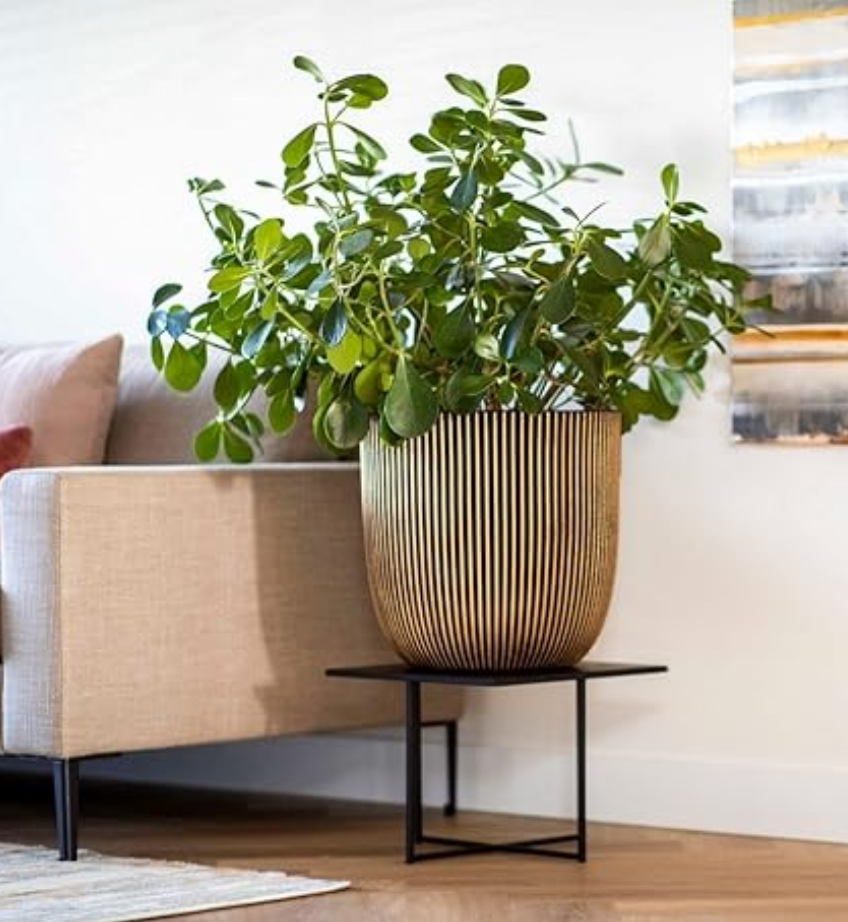 Vasi per regali e per decorare la tua casa