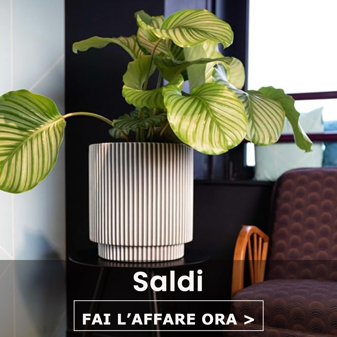 Saldi estivi con sconti fino al 50%