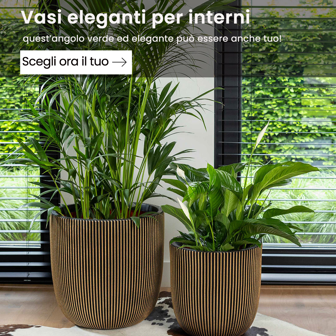 Vasi eleganti per interni