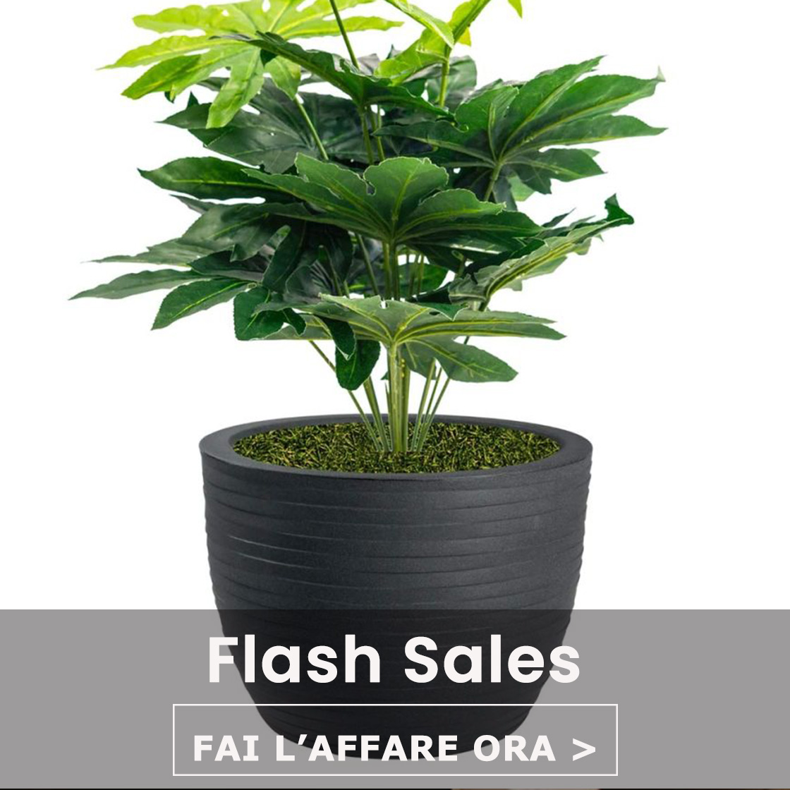 Offerte della settimana con sconti fino al 40%