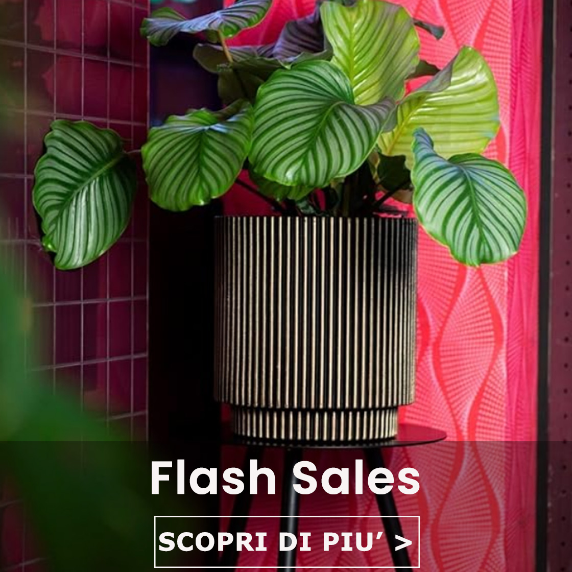 Vasi scontati fino al 40%