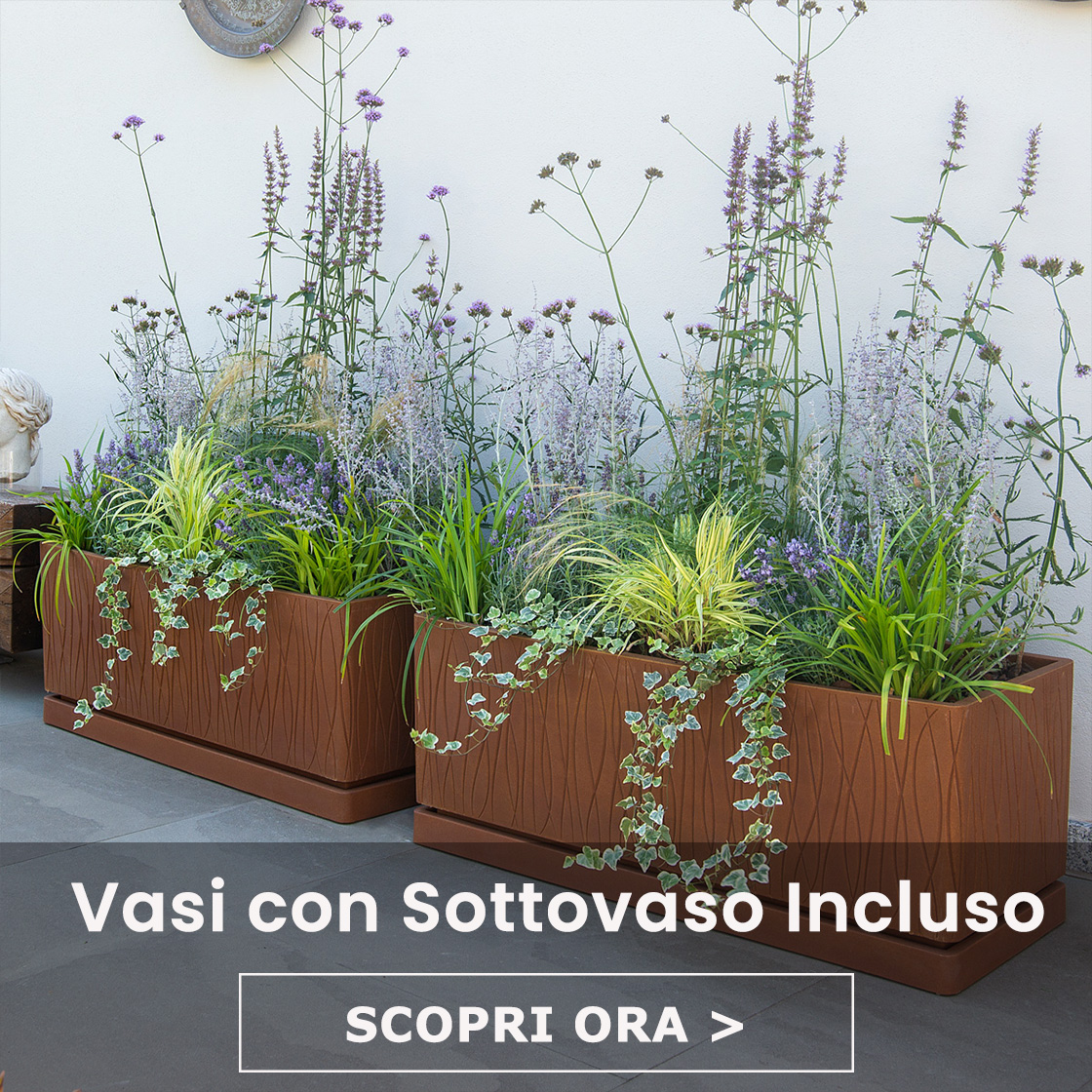 Vasi con sottovasoincluso