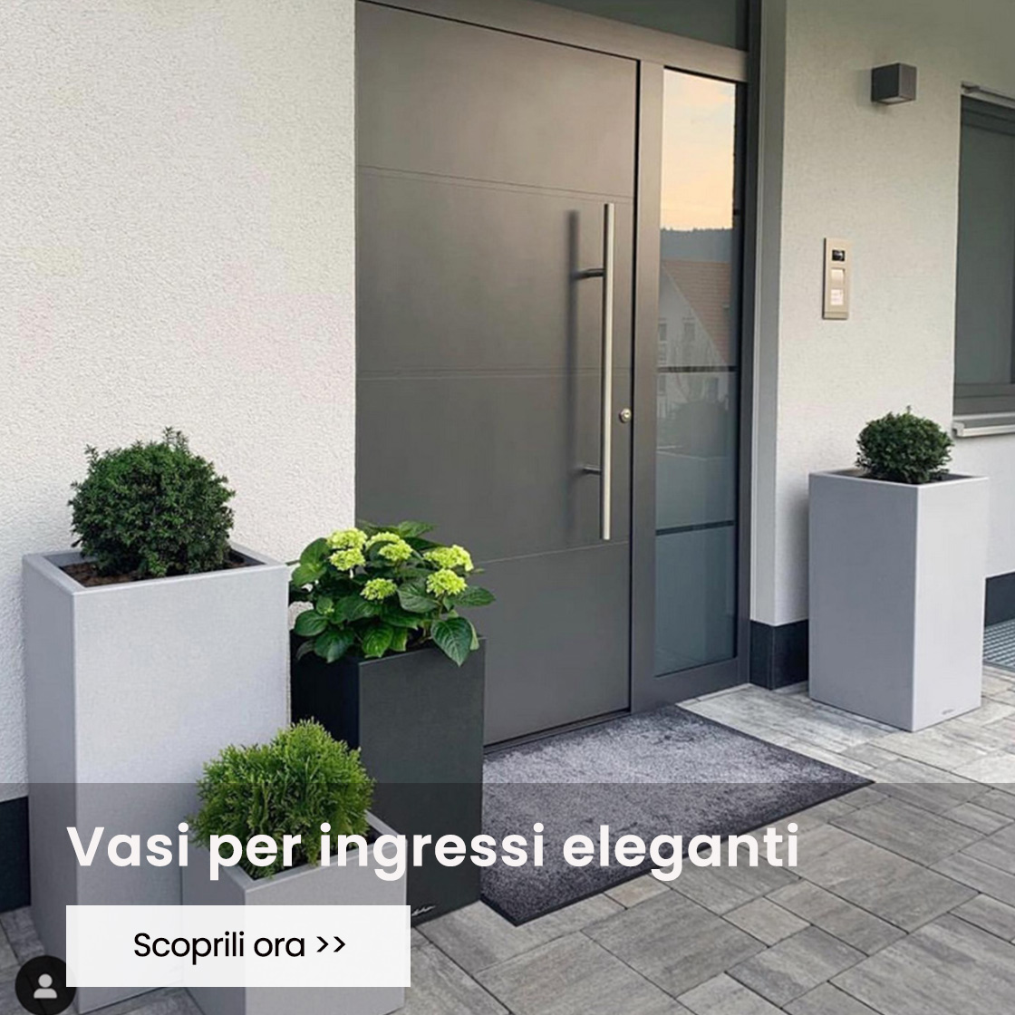 Vasi per ingressi eleganti