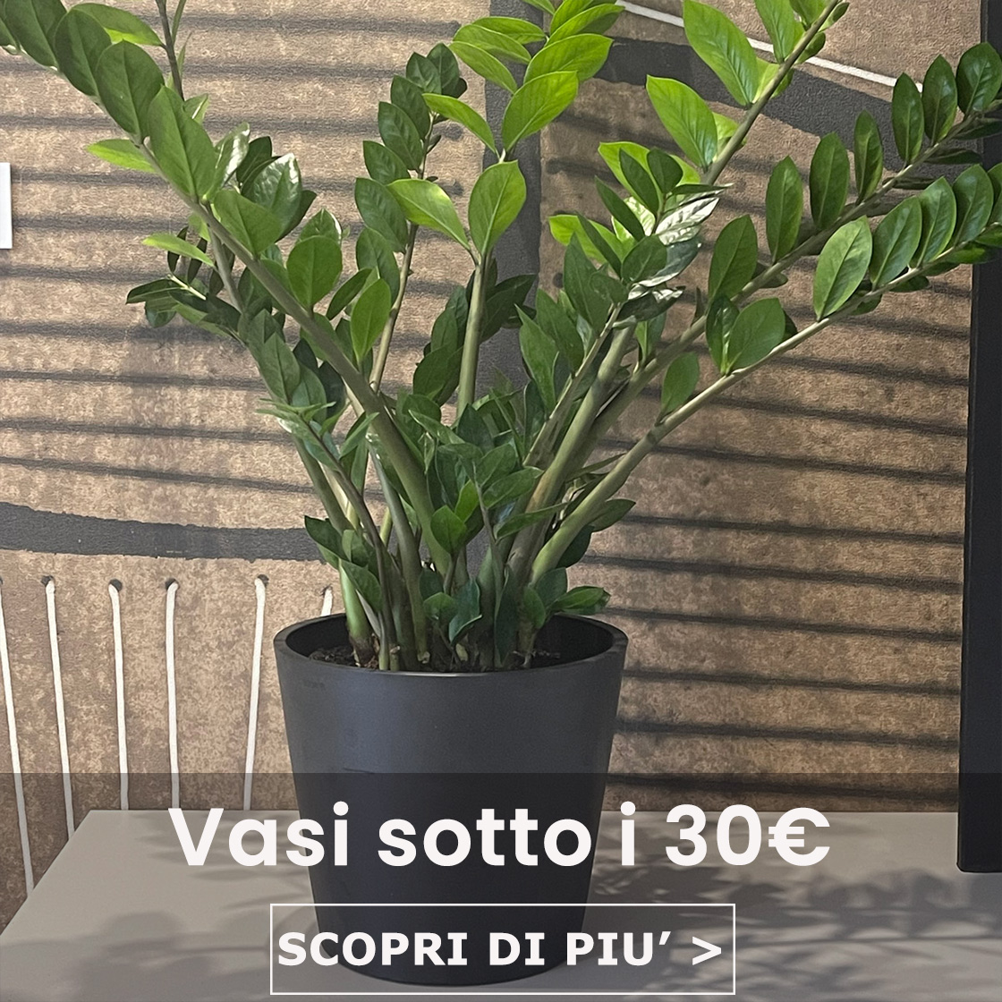 Vasi sotto i 30 euro