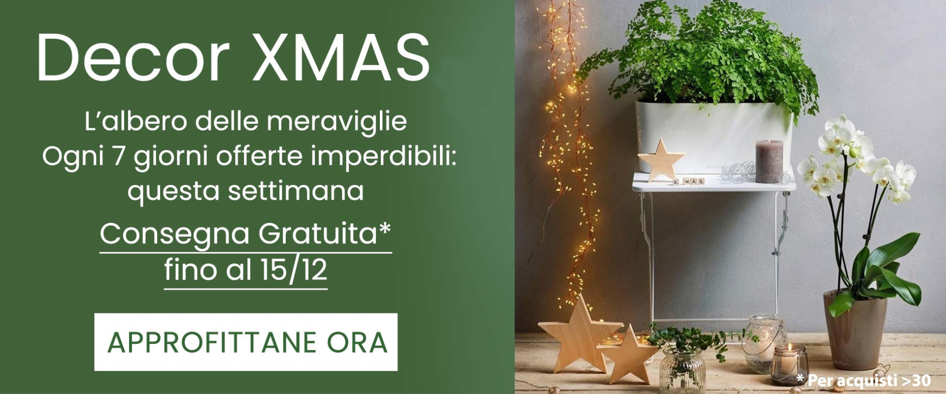 Scopri il nostro albero dell'avvento, sette giorni per sette offete incredibili!