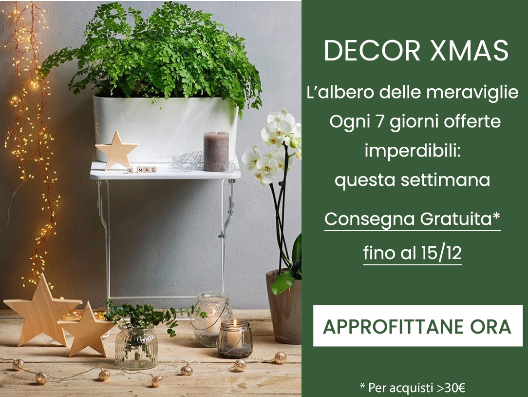 Scopri il nostro albero dell'avvento, sette giorni per sette offete incredibili!
