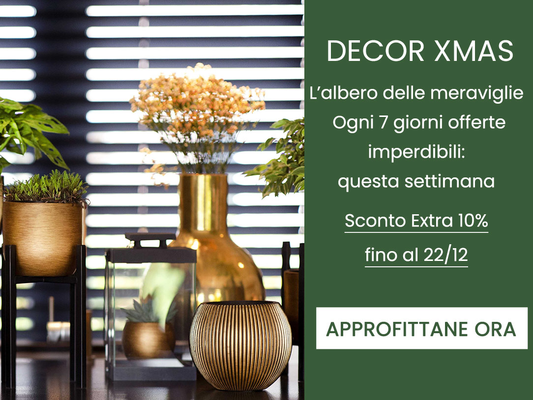 Scopri il nostro albero dell'avvento, sette giorni per sette offete incredibili!