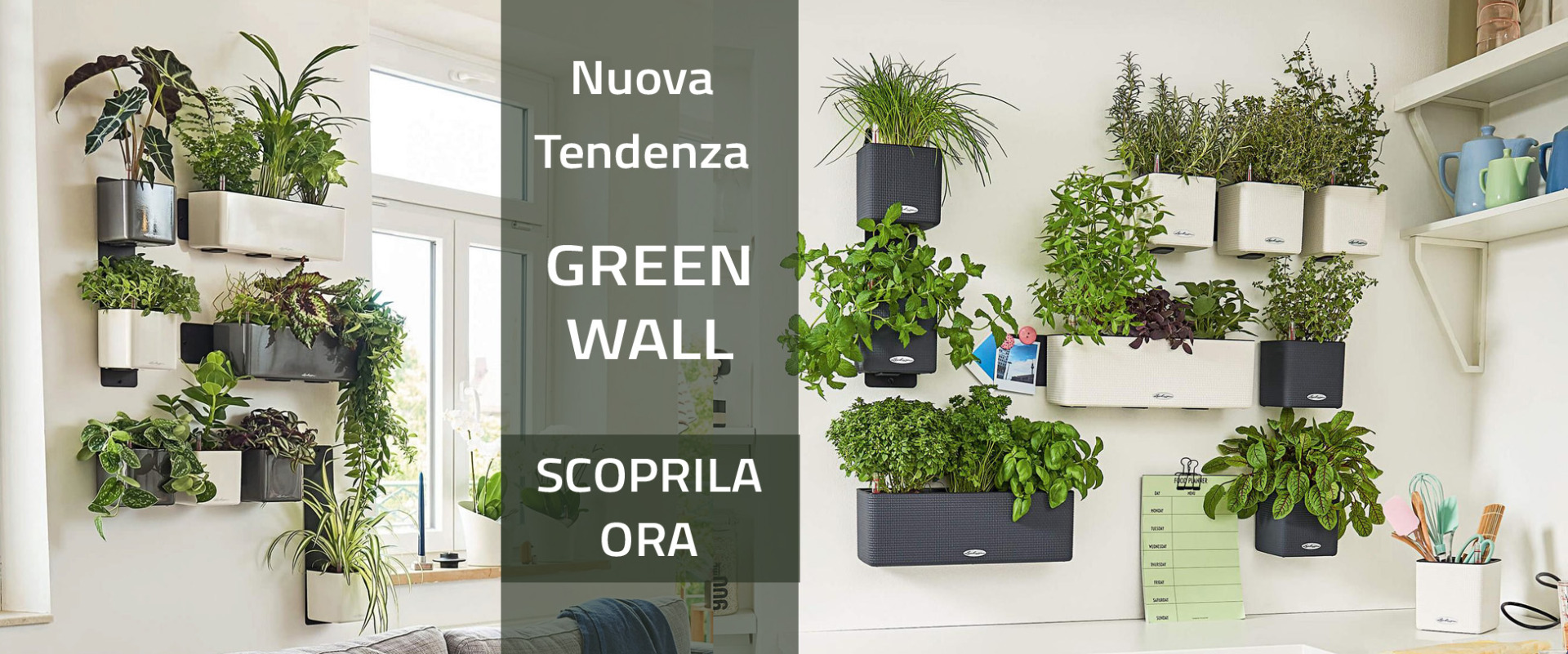 Collezione Green Wall