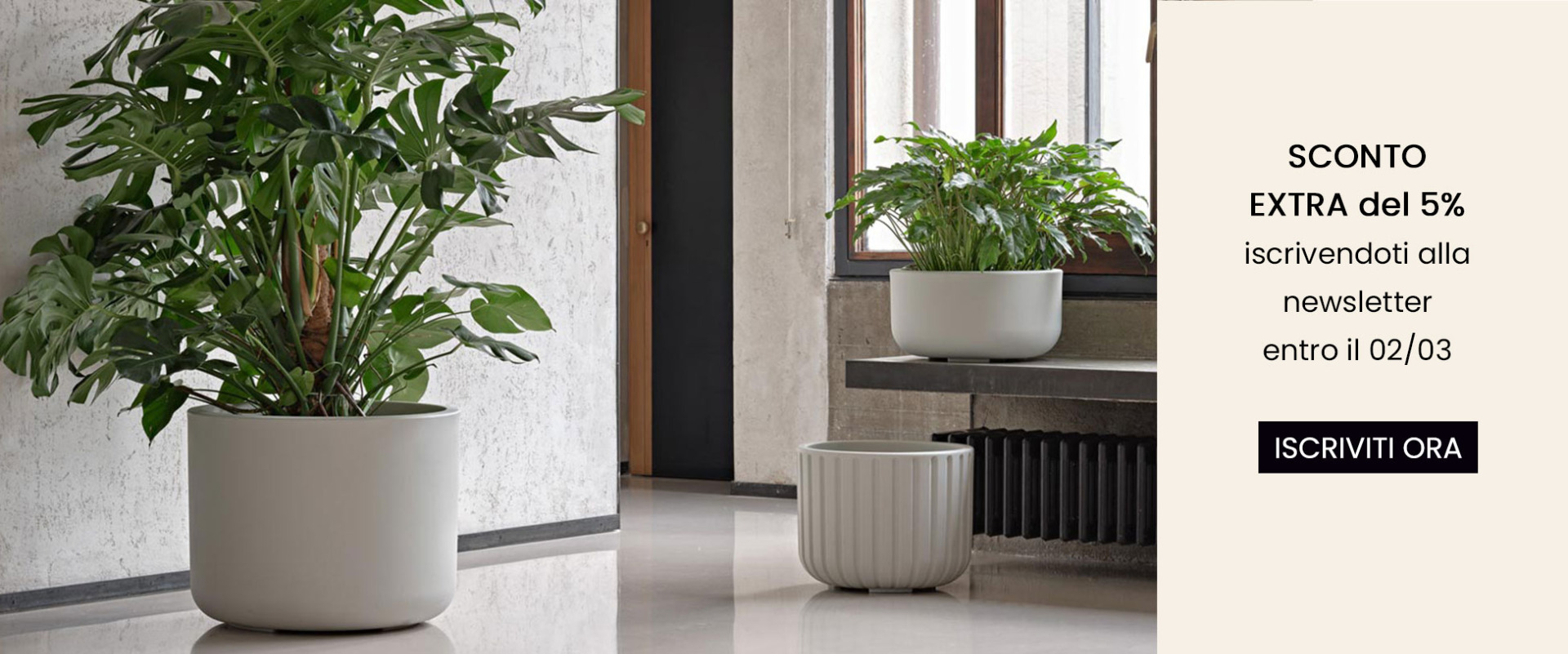 Sconto iscrizione newsletter - Decor Home - Vasi on line