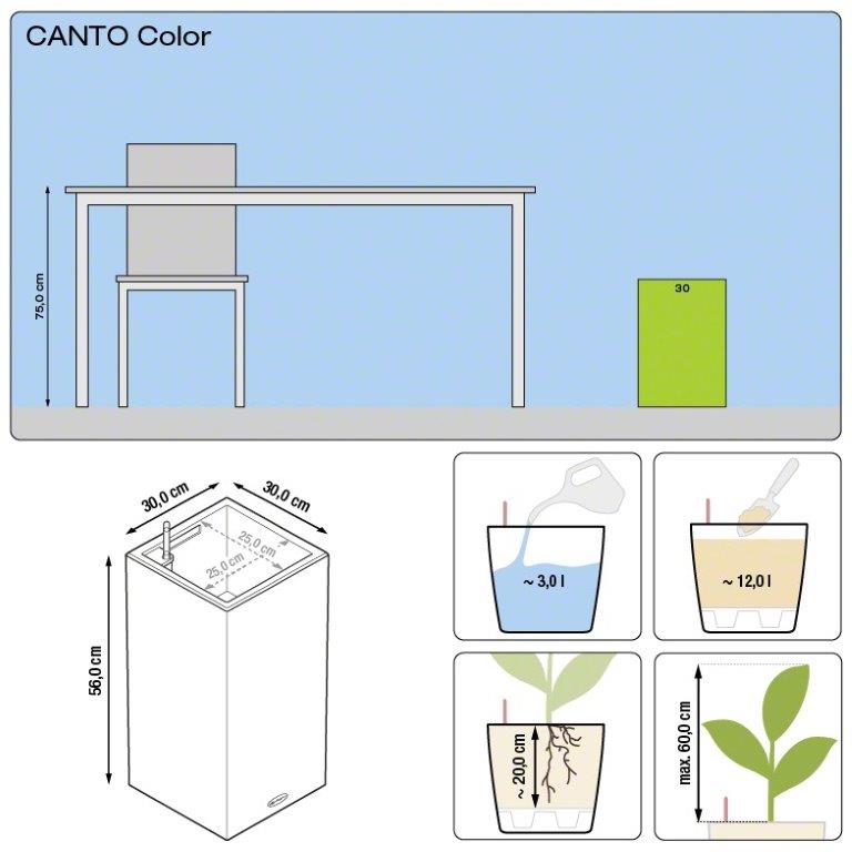 Canto Color a colonna Lechuza