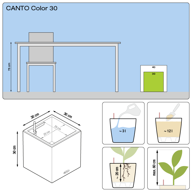 Canto Color a cubo Lechuza