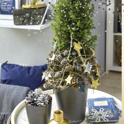 Vasi per albero di Natale Vasi per albero di Natale