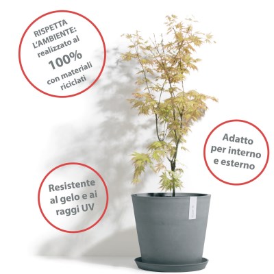 Vasi ECOPOTS 100% ecologici Vasi ECOPOTS 100% ecologici
