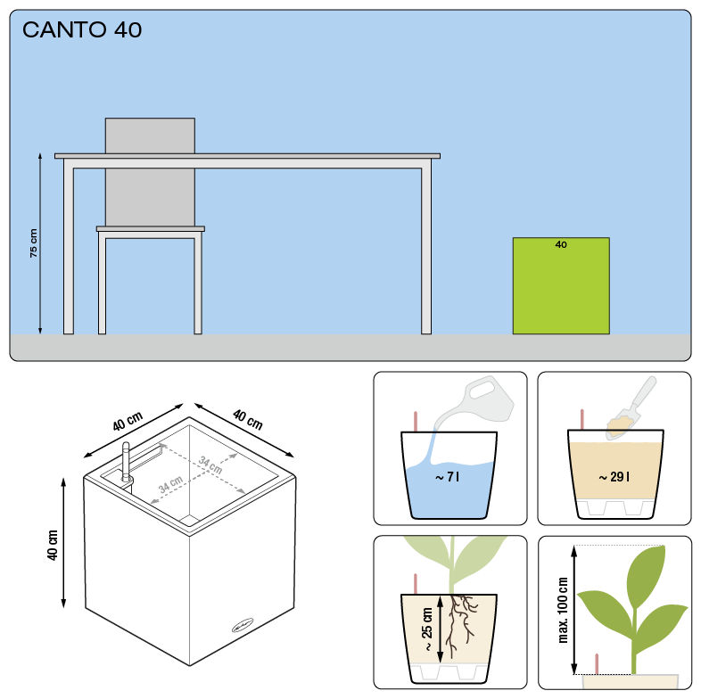 Canto Color a cubo Lechuza